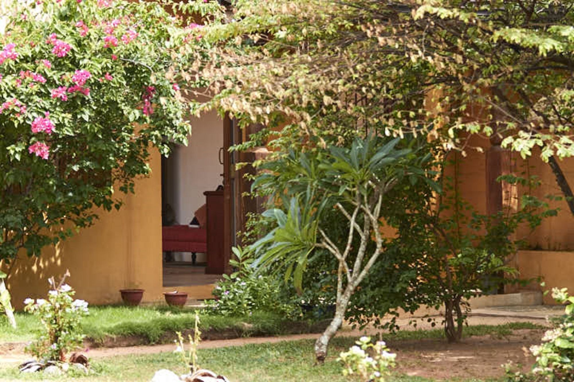 Villa Sunbird Negombo Exterior photo